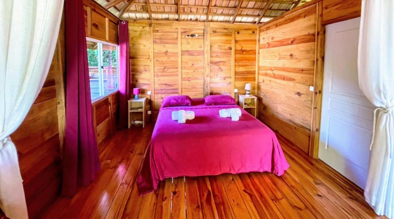 Raiatea - Orion Pool Bungalow Uturoa Exteriér fotografie